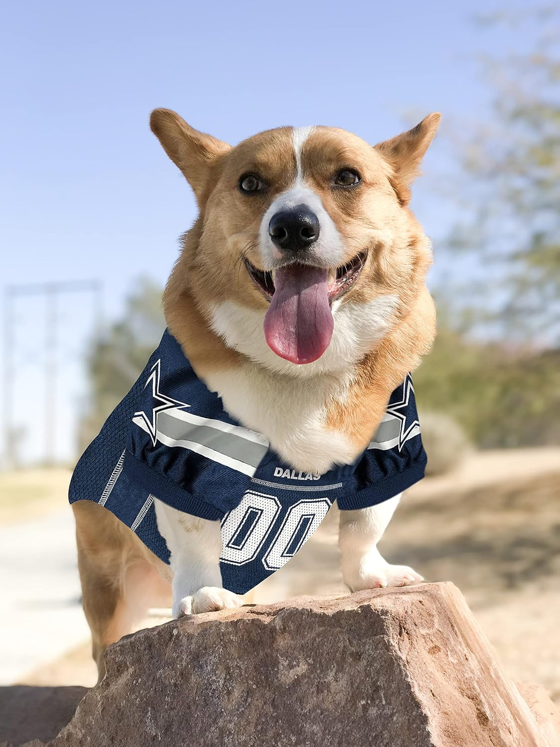 NFL DALLAS COWBOYS DOG Jersey, Small