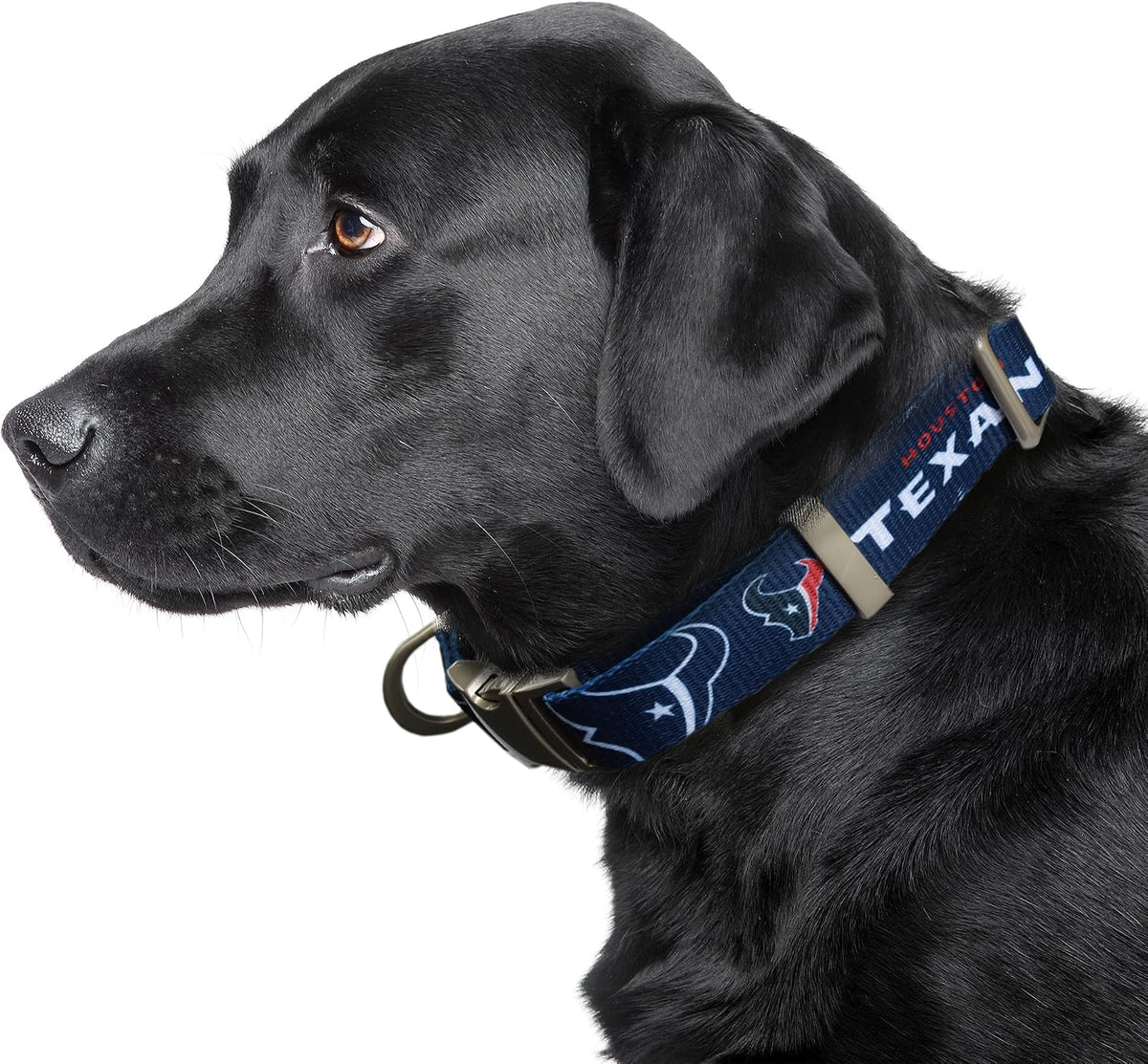 NFL Detroit Lions Pet Premium Collar, Team Color, Small