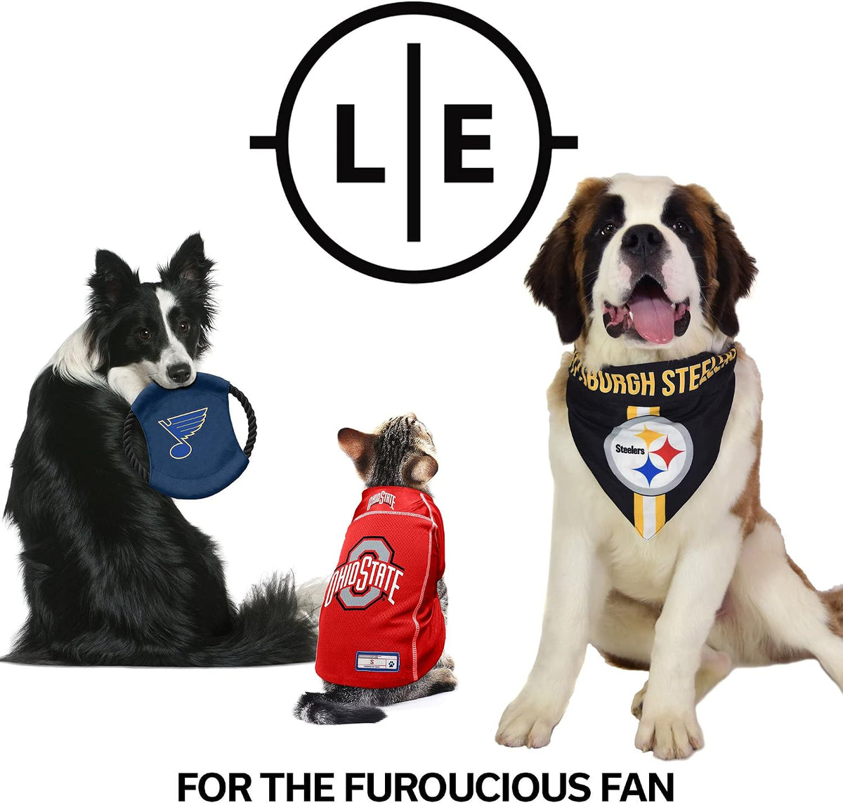 NFL Detroit Lions Pet Premium Collar, Team Color, Small