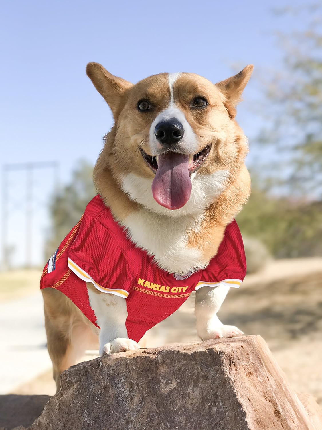 NFL AFC West Mesh Jersey for Dogs, Medium, Kansas City Chiefs